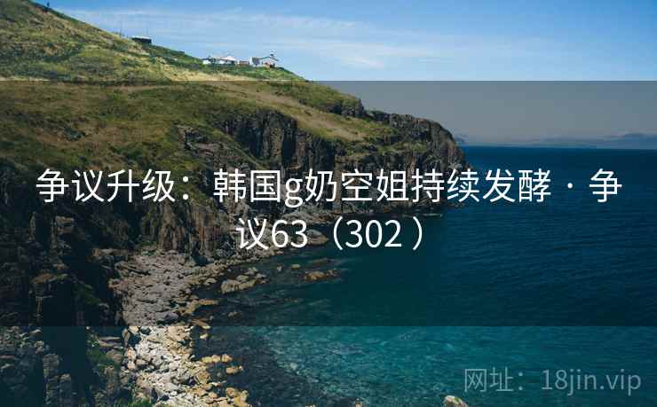 争议升级：韩国g奶空姐持续发酵 · 争议63（302 ）