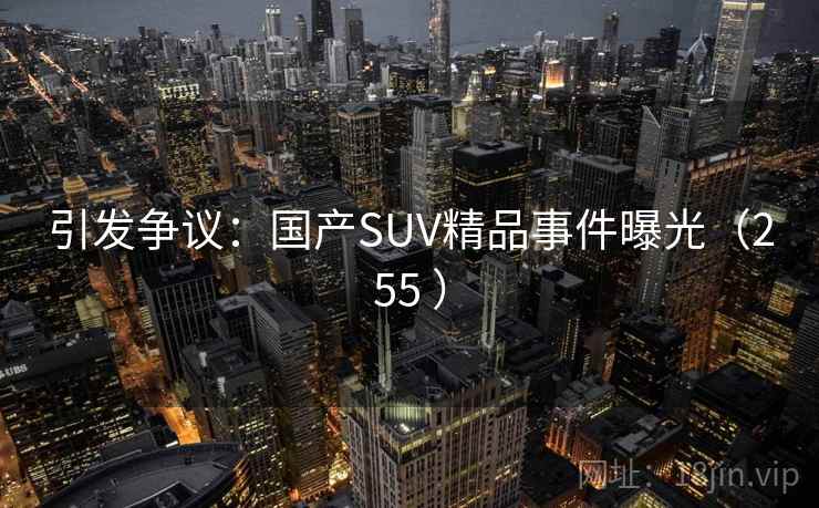 引发争议:国产SUV精品事件曝光(255 ) 引发争议:国产SUV精品事件曝光(255 )